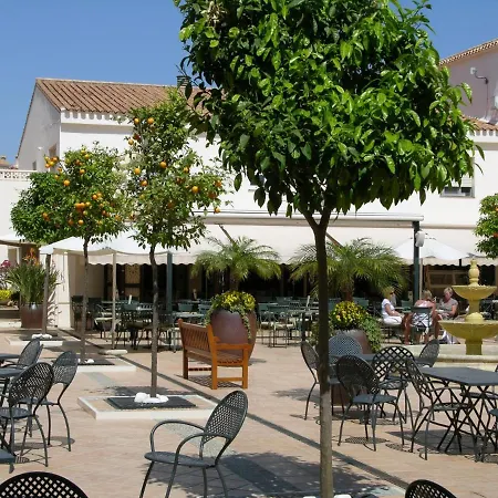 Buena Vista 7708 - Choice