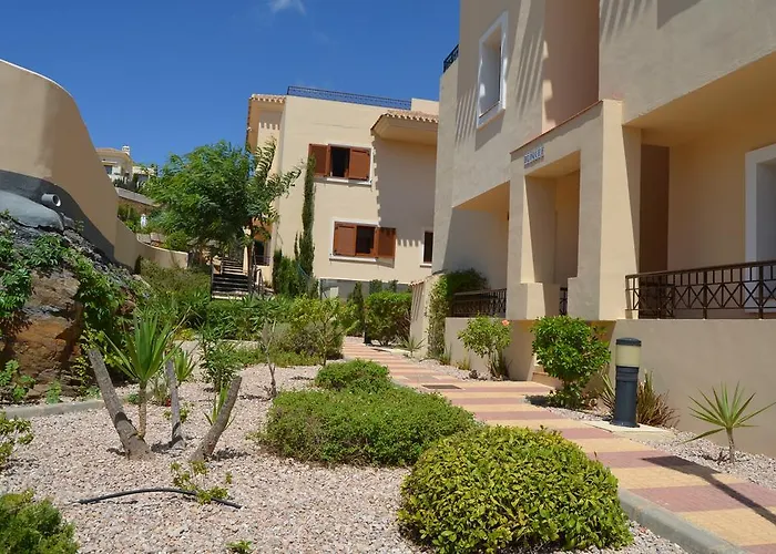 Buena Vista 7708 - Choice